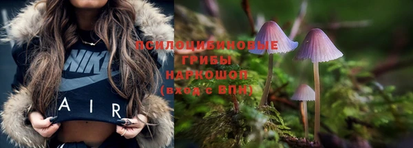 твердый Беломорск