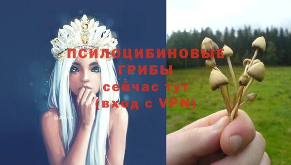 твердый Белоозёрский