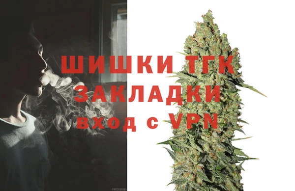 эйфоретик Белокуриха